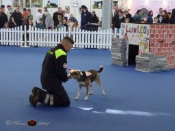 Haustiermesse am 1.03.2026